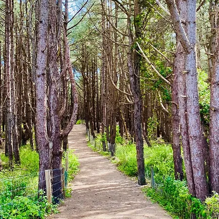 La Timonerie - La Caraque 35, Vue Et Dunes Classé 2 étoiles Fort-Mahon-Plage
