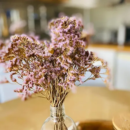 La Timonerie - La Caraque 35, Vue Et Dunes Classe 2 Etoiles