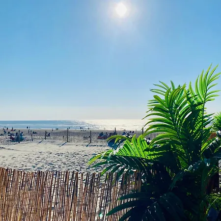 La Timonerie - La Caraque 35, Vue Et Dunes Classe 2 Etoiles Fort-Mahon-Plage