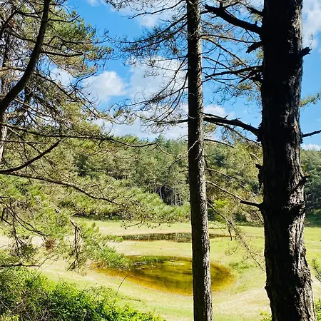 La Timonerie - La Caraque 35, Vue Et Dunes Classe 2 Etoiles